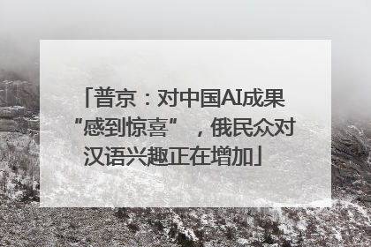 普京：对中国AI成果“感到惊喜”，俄民众对汉语兴趣正在增加
